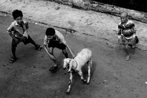 Fotografia de miratal - Galeria Fotografica: KOLKATA - Foto: 