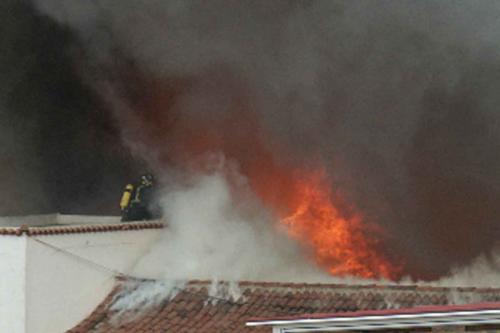 Fotografia de Quique Delgado - Galeria Fotografica: Reportaje - Foto: 