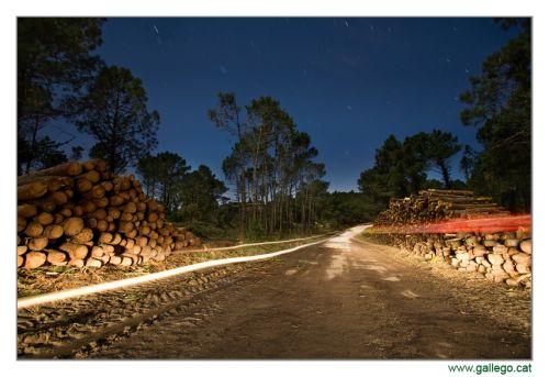 Fotografia de Jordi Gallego - Galeria Fotografica: Nocturnas - Foto: Camino forestal. 