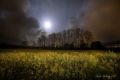 Fotos de Jordi Gallego -  Foto: Nocturnas - Campos de soja