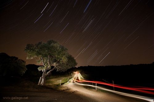 Fotografia de Jordi Gallego - Galeria Fotografica: Nocturnas - Foto: Camino de Fitor