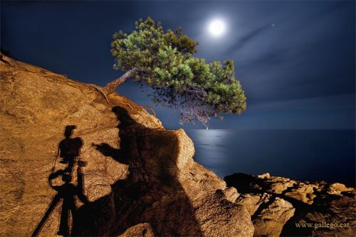 Fotografia de Jordi Gallego - Galeria Fotografica: Nocturnas - Foto: Autorretrato