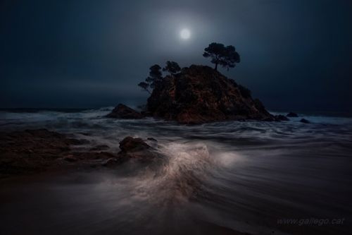 Fotografia de Jordi Gallego - Galeria Fotografica: Nocturnas - Foto: Movida noche.