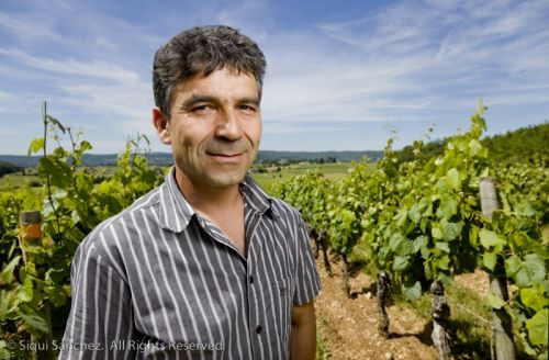 Fotografia de Siqui Sanchez Fotografia - Galeria Fotografica: retrato corporativo - Foto: 