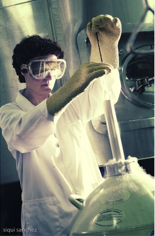 Fotografia de Siqui Sanchez Fotografia - Galeria Fotografica: retrato corporativo - Foto: 