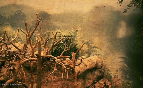 Fotografia de Siqui Sanchez Fotografia - Galeria Fotografica: Pinhole - Foto: 