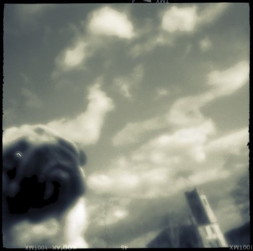 Fotografia de Siqui Sanchez Fotografia - Galeria Fotografica: Pinhole - Foto: 