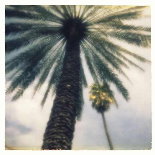 Fotografia de Siqui Sanchez Fotografia - Galeria Fotografica: Pinhole - Foto: 