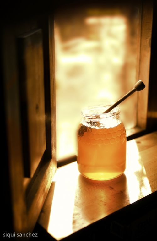 Fotografia de Siqui Sanchez Fotografia - Galeria Fotografica: Portadas - Foto: 