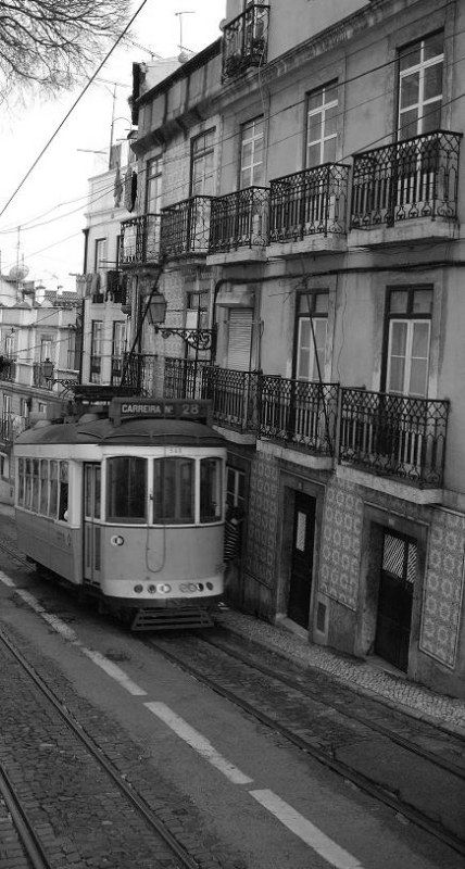 Fotografia de jandrix - Galeria Fotografica: sin titulo - Foto: 