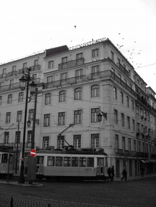 Fotografia de jandrix - Galeria Fotografica: sin titulo - Foto: 