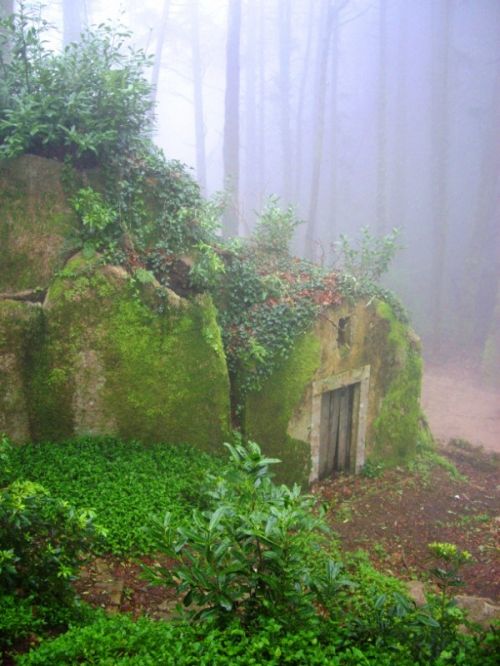 Fotografia de jandrix - Galeria Fotografica: sin titulo - Foto: 