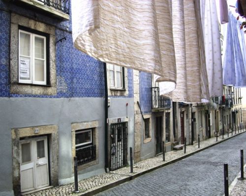 Fotografia de jandrix - Galeria Fotografica: sin titulo - Foto: 