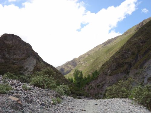 Fotografia de Curu Coseani - Galeria Fotografica: Camino a San Isidro - Foto: 