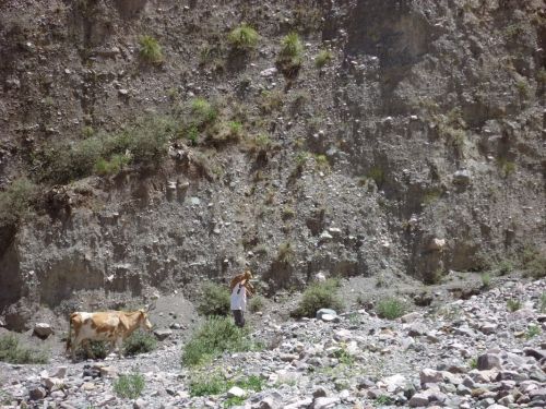 Fotografia de Curu Coseani - Galeria Fotografica: Camino a San Isidro - Foto: 
