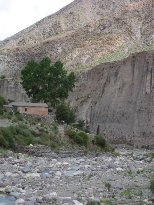 Fotografia de Curu Coseani - Galeria Fotografica: Camino a San Isidro - Foto: 