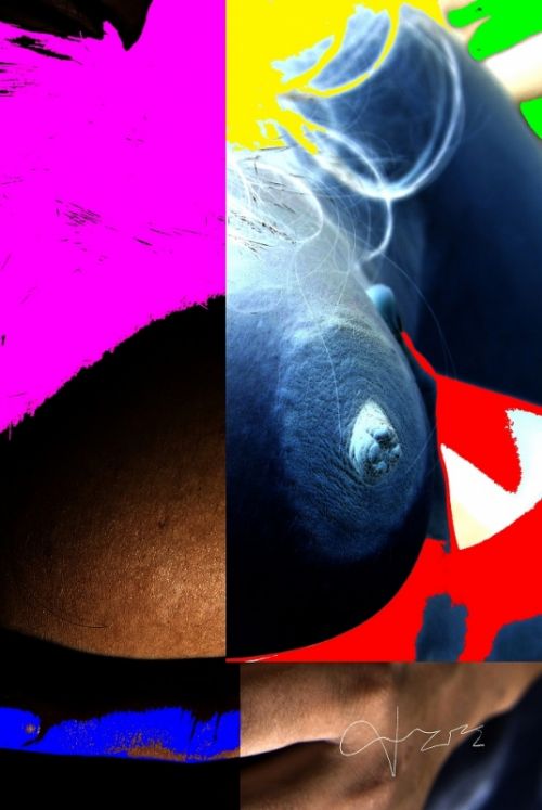 Fotografia de Daniel Amadeo Rodr�guez - Galeria Fotografica: Anonadado:...una historia virginal. - Foto: 