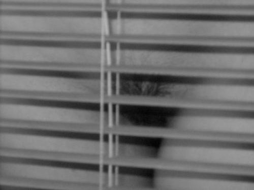 Fotografia de Diego Salazar - Galeria Fotografica: Desnudos - Foto: 