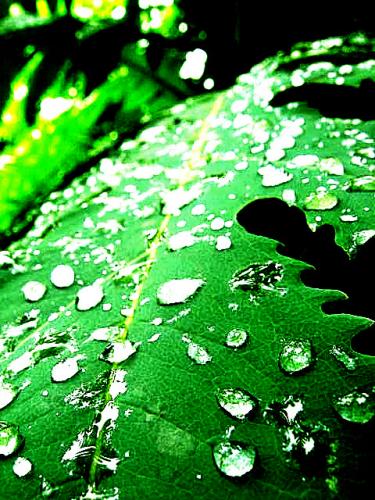 Fotografia de Diego Salazar - Galeria Fotografica: artisticas - Foto: 