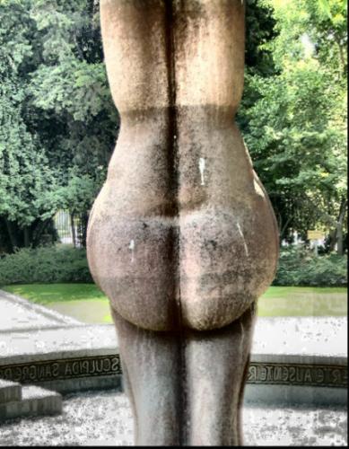 Fotografia de urbanum - Galeria Fotografica: detodofoto - Foto: un carapalida