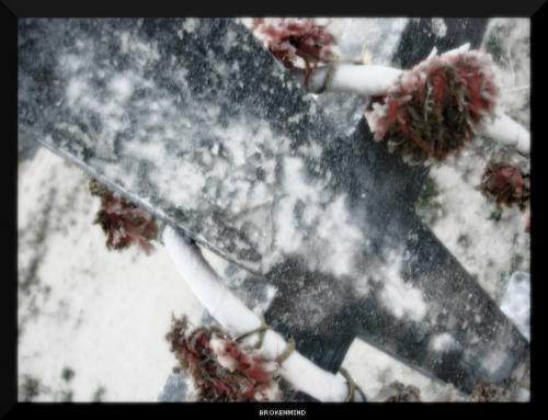 Fotografia de ++BrokenMind++ - Galeria Fotografica: From my BrokenMind - Foto: 