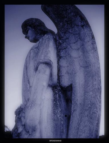 Fotografia de ++BrokenMind++ - Galeria Fotografica: From my BrokenMind - Foto: 
