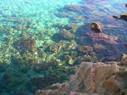 Fotografia de Mike Poch - Galeria Fotografica: celimar - Foto: 