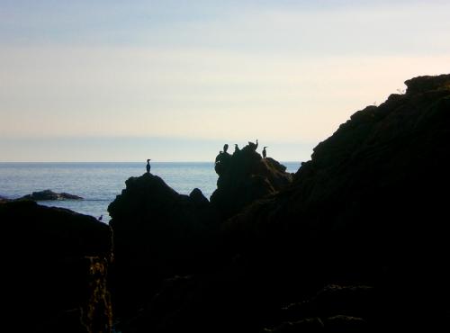 Fotografia de Mike Poch - Galeria Fotografica: celimar - Foto: 