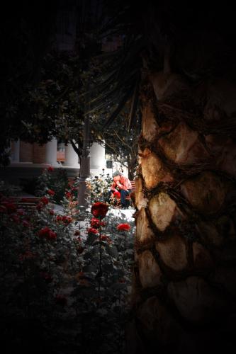 Fotografia de Lorena Molinero - Galeria Fotografica: Desde mi punto de vista - Foto: Vejez