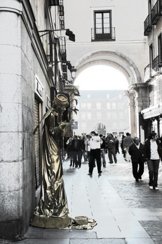 Fotografia de Lorena Molinero - Galeria Fotografica: Desde mi punto de vista - Foto: Mimosa solitaria