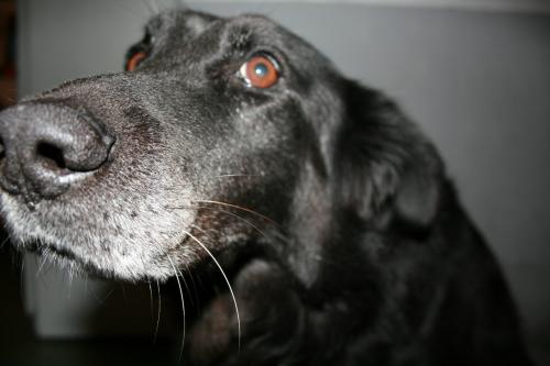 Fotografia de Lorena Molinero - Galeria Fotografica: Desde mi punto de vista - Foto: Curioseo