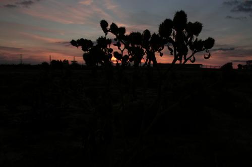 Fotografia de Lorena Molinero - Galeria Fotografica: Desde mi punto de vista - Foto: Contraluz