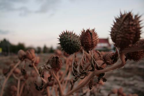 Fotografia de Lorena Molinero - Galeria Fotografica: Desde mi punto de vista - Foto: Pinchan