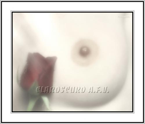 Fotografia de CLAROSCURO A.F.V. - Galeria Fotografica: DESNUDO - Foto: SUAVIDAD