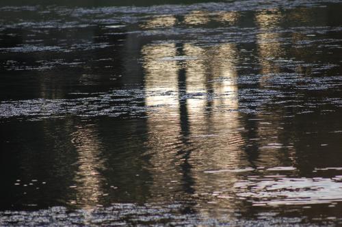 Fotografia de fanayag - Galeria Fotografica: Paseo por Guadacorte - Foto: 								