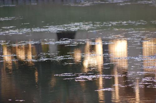 Fotografia de fanayag - Galeria Fotografica: Paseo por Guadacorte - Foto: 								