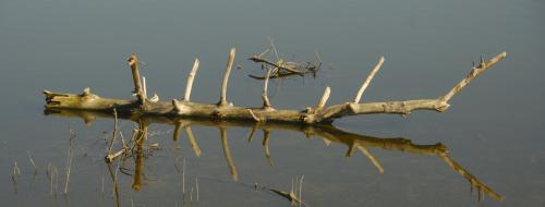 Fotografia de Federico Lojo - Galeria Fotografica: Msica y Expresin - Foto: Espejismo								