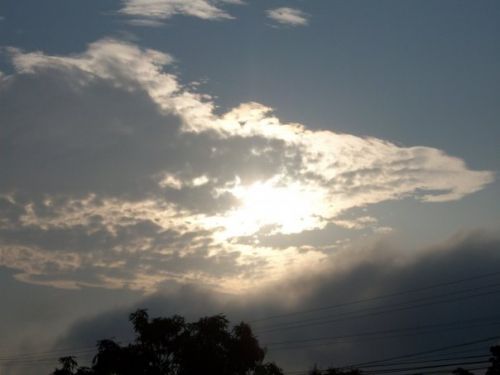 Fotografia de Joshua - Galeria Fotografica: Lo que tomo mi primera camara - Foto: 