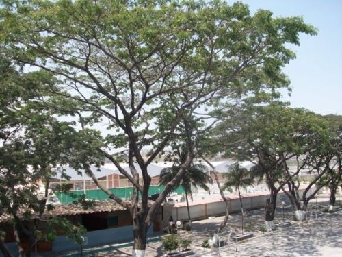 Fotografia de Joshua - Galeria Fotografica: Lo que tomo mi primera camara - Foto: 