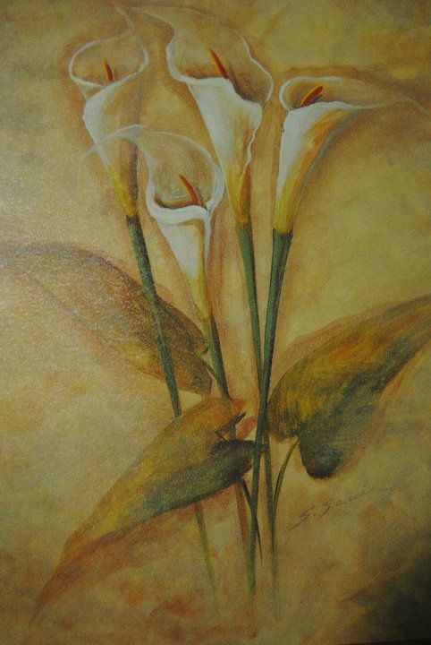 Fotografia de Cuevas - Galeria Fotografica: Mis Primeras Fotos - Foto: 