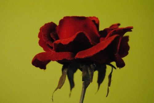 Fotografia de Cuevas - Galeria Fotografica: Mis Primeras Fotos - Foto: 