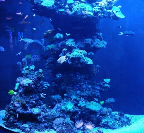 Fotografia de Cuevas - Galeria Fotografica: Mis Primeras Fotos - Foto: 