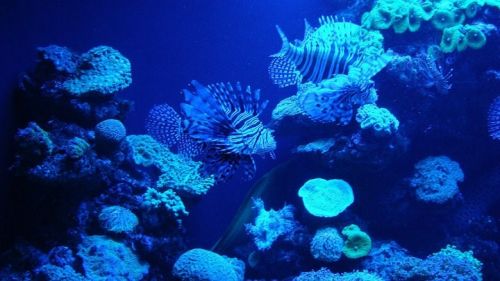 Fotografia de Cuevas - Galeria Fotografica: Mis Primeras Fotos - Foto: 