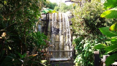 Fotografia de Cuevas - Galeria Fotografica: Mis Primeras Fotos - Foto: 