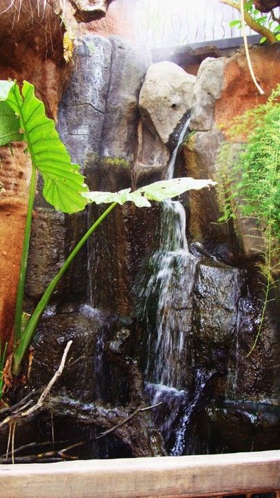 Fotografia de Cuevas - Galeria Fotografica: Mis Primeras Fotos - Foto: 