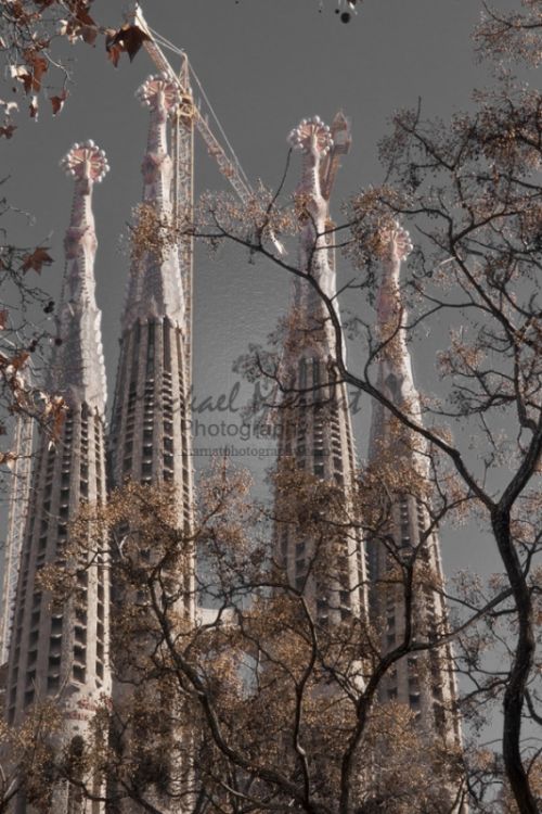 Fotografia de Mickael Marnat Photography - Galeria Fotografica: Mickael Marnat Photography - Foto: 