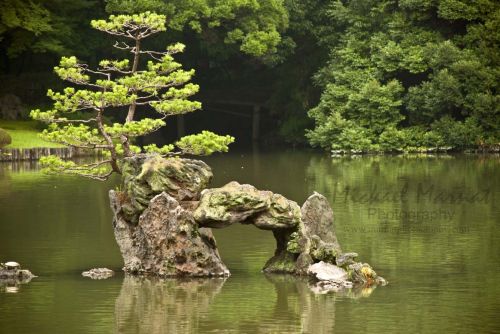 Fotografia de Mickael Marnat Photography - Galeria Fotografica: Mickael Marnat Photography - Foto: 