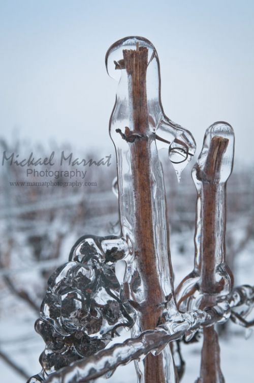 Fotografia de Mickael Marnat Photography - Galeria Fotografica: Mickael Marnat Photography - Foto: 