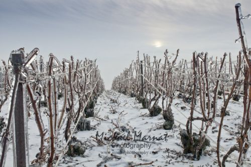 Fotografia de Mickael Marnat Photography - Galeria Fotografica: Mickael Marnat Photography - Foto: 