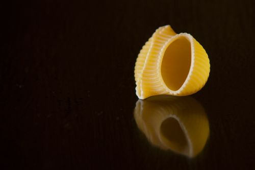 Fotografia de Mickael Marnat Photography - Galeria Fotografica: Mickael Marnat Photography - Foto: 